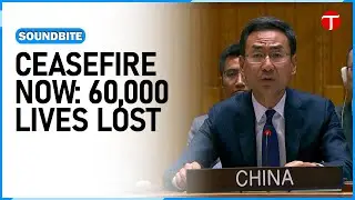 Chinese envoy calls for lasting Gaza ceasefire, revival of two-state solution