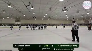 Jr Seahawks 12U Navy vs. NC Golden Bears (2026.01.11)