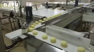 bread packaging machine, cake packaging machine, biscuit packaging machine,flow wrapper,flow-pack