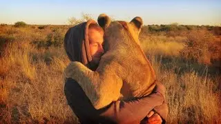 La storia d'amore tra Valentin e la sua leonessa. Lui gli salva la vita, lei lo abbraccia