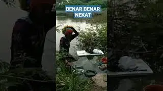 BENAR BENAR NEKAT MEREKA INI #mancingmania #mancingnila #mancingalambebas