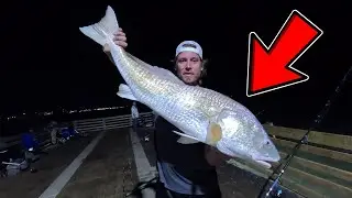 Fishing The Galveston Fishing Pier During the Bull Red Run |So Many Big Fish