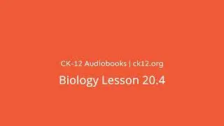 Biology CK-12 Lesson 20.4: Overview of Animal Behaviour Audiobook
