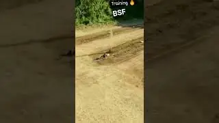 BSF constable tradesman training time Video #real #250k