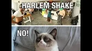 Harlem Shake = DEATH