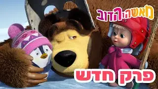 מאשה והדוב 👱‍♀️ פרק חדש 🐻 היצור שהלך לאיבוד 🐧🏒 אוסף של סרטים ⭐️ סרטים לילדים