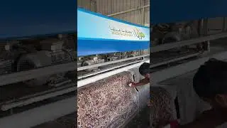 Industrial Laundry Workers & Carpet Cleaners Available &ndash; Skilled Manpower for GulfKSA