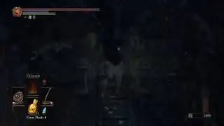 DARK SOULS 3-NEW GAME VENTURES (carrying a friend )