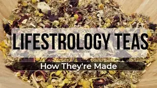 Lifestrology Teas: How They're Made