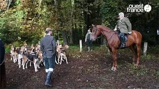 Dans les coulisses d’une chasse à courre
