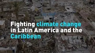 Fighting climate change in Latin America and the Caribbean
