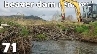 Chrunchy Opening - Beaver Dam Removal With Excavator No.71.1 - Tripod Version