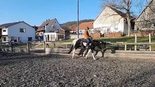 Westerntraining, pleasure, Galopp in slow motion, paint horse mit Bosal geritten, Westernreiten
