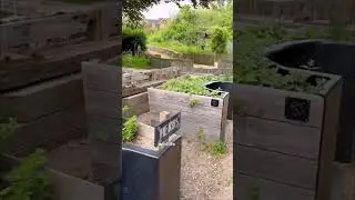 London&rsquo;s Hidden Nature Escape 🌳🦆| Original Video Credits 🎥 @VisitLondonOfficial via Instagram