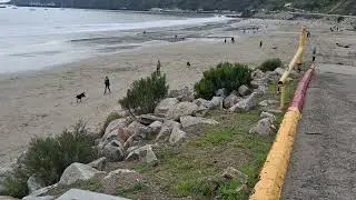 Dawg Beach @ AVILA BEACH CA 