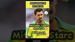 most Wicket in ICC ODI World Cup || Information Point #shortsfeed #newshorts #shortvideo #shortvideo