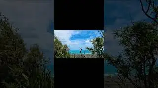 Hiking on Gibbon Track, Whatipu