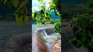 Gundaru Dam😍😍 tenkashi| Tamilnadu #travel #tripart