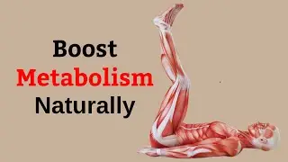 Complete Guide to Natural Metabolism Boosters