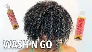 WASH N GO with Jane Carter Curls to Go Line on 4b 4c Hair