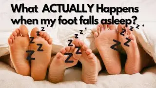 What ACTUALLY happens when my foot falls asleep?