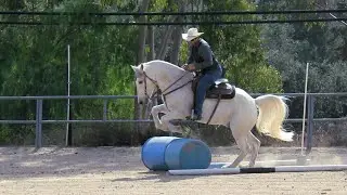 ECEF virtual cowboy challenge