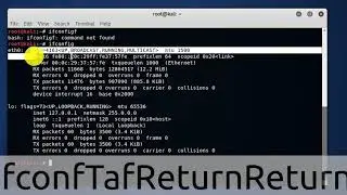Kali Linux Network error solved Easy way
