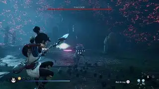 Kena Warrior Master difficulty