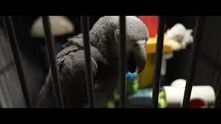 Sony a7iv 120fps slow-motion test with 21:9 Aspect Ratio