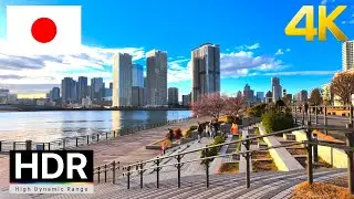 【4K HDR】🇯🇵Tokyo Seaside Walk in Toyosu, Japan