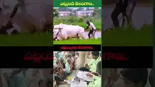 difference  to  TRS vs Congress 🔥🔥😍😄
