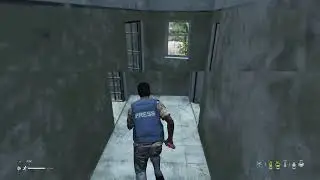 DayZ: Lead pipe dreams LA 8363