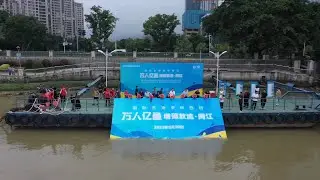 GLOBALink | Fish fries released into China's Minjiang River