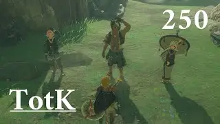 【ティアキン】パーヤさんの鉄壁防御を破るとき：250