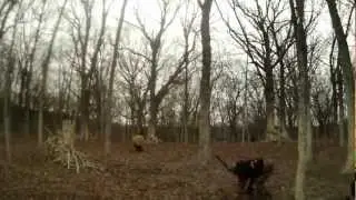 Suddenly, A Wild Paintball Ninja Appears!