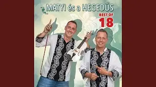 Necsi Necsi