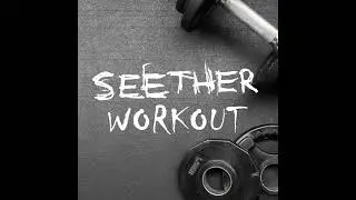 Seether - Dead And Done