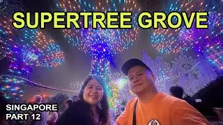 SuperTree Grove Light Show 🇸🇬 - Trip to Singapore - Part 12.