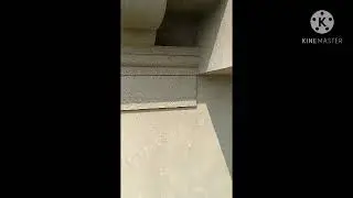 গুটকা ও পেনতুম বানানো#Hwau to make Gutka@Pentum