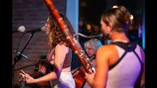 The Swallowtails - Like the Spider (live)