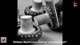 Create by AI mushroom | Organic logs shitake mushroom | Shitake Mushroom possible  in Nepal |Shitake
