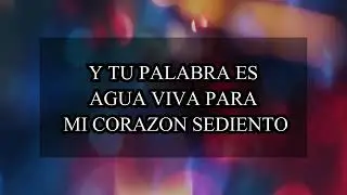 Vida nueva - Lussy y las princesas del vallenato