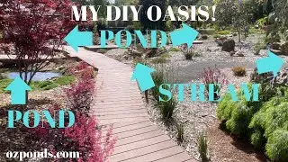 DIY Ponds, streams and filters. Quick walk around spring 2023