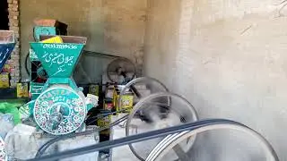 oil spaler machine