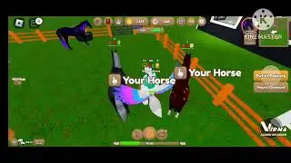cleaning out my wild horse islands stable giving away/ trading some horses