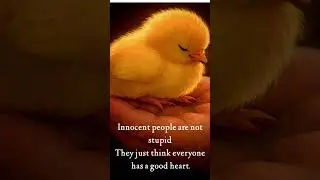 too hard to find good heart people #lf u have#care them#dont hurt#keep kind ❤️#motivation