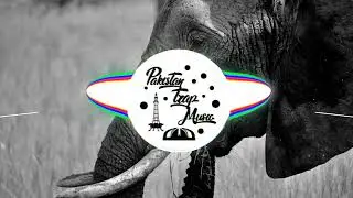 Safari - B3ats Infinity (South Asian Trap)