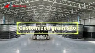 Massive Galvanized Steel Silo System | Aerial View & Inside Tour by Manxing Machinery