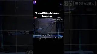 Nikon Z6ii Autofocus Tracking #my arowana fish