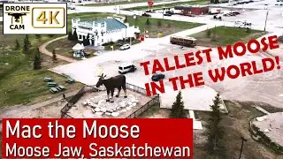 🦌 Majestic Heights: Flying High with Mac the Moose in 4K! 🌟Moose Jaw, Saskatchewan